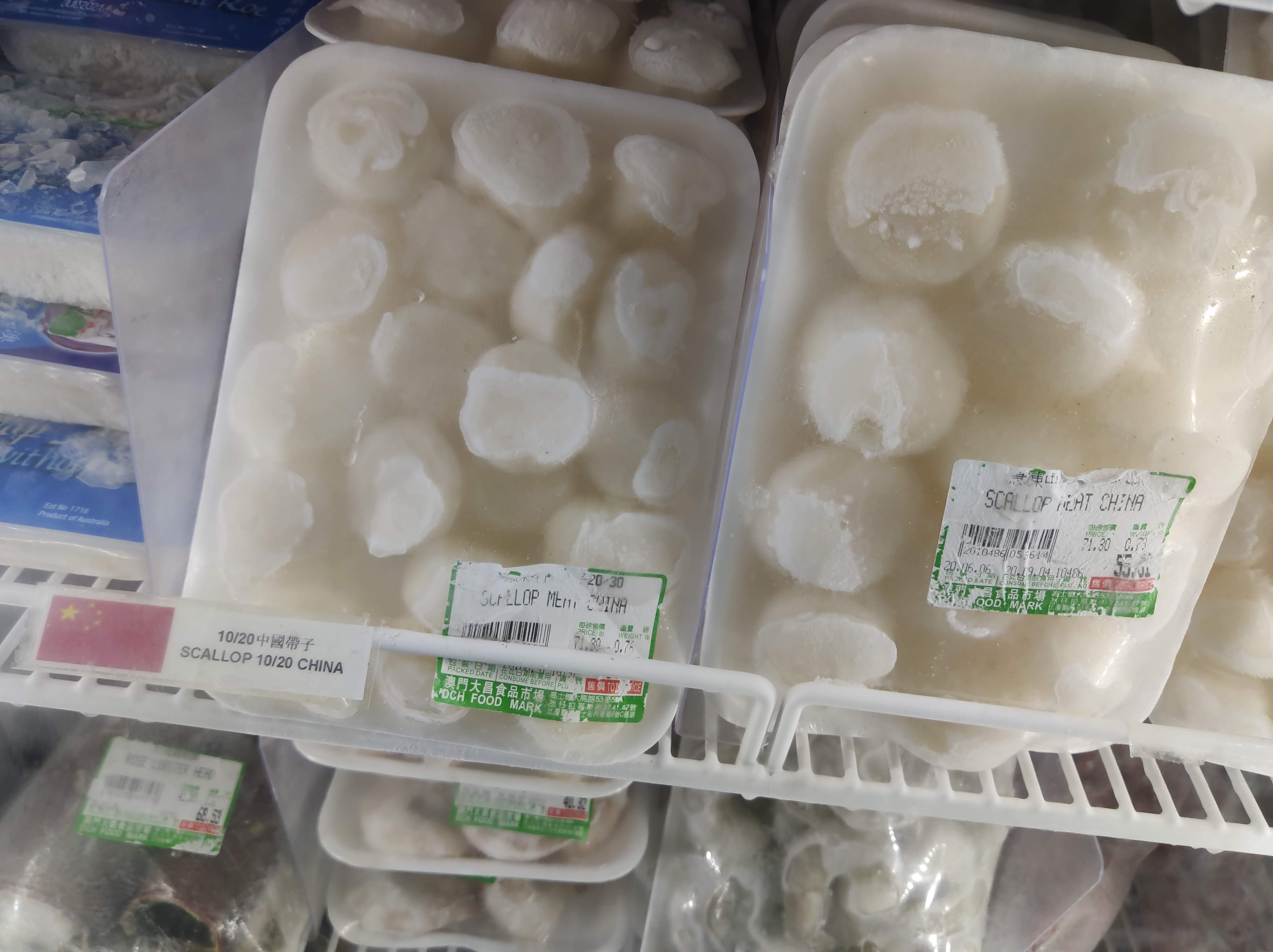 frozen scallops
